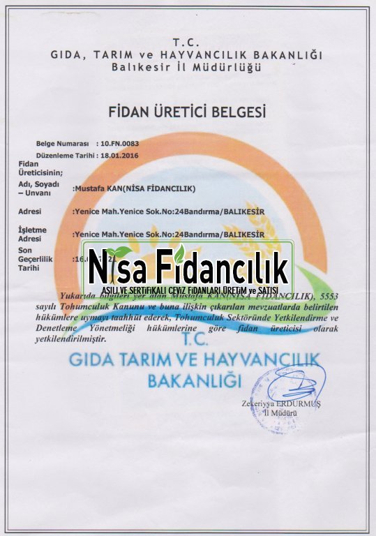 fidan üretim belgemiz